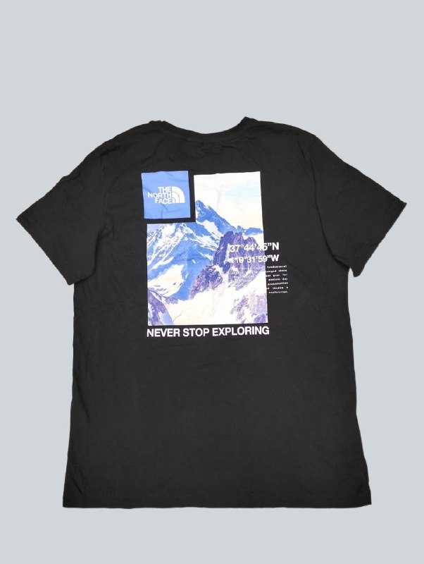 Футболка The North Face