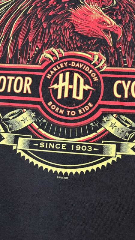 Футболка Harley-Davidson