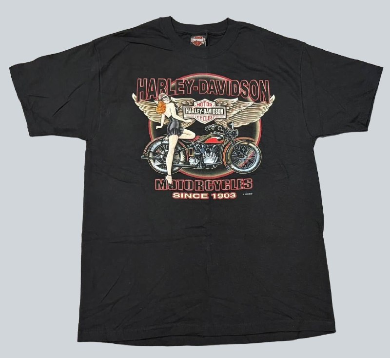 Футболка Harley-Davidson · розмір L