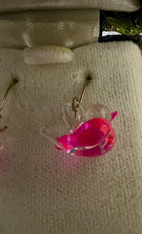 Сережки