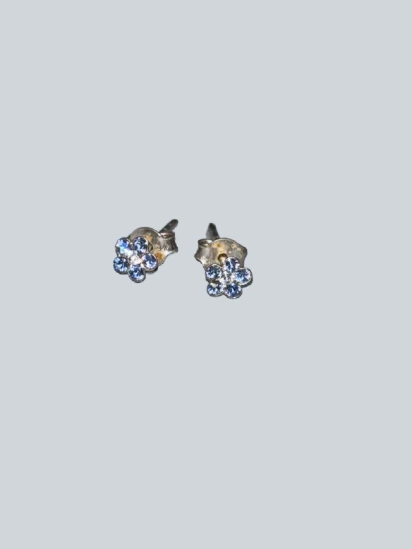 Сережки
