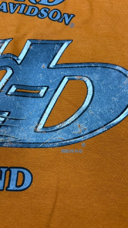 Футболка Harley-Davidson · розмір L (42–44)
