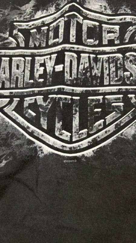 Футболка Harley-Davidson · розмір L